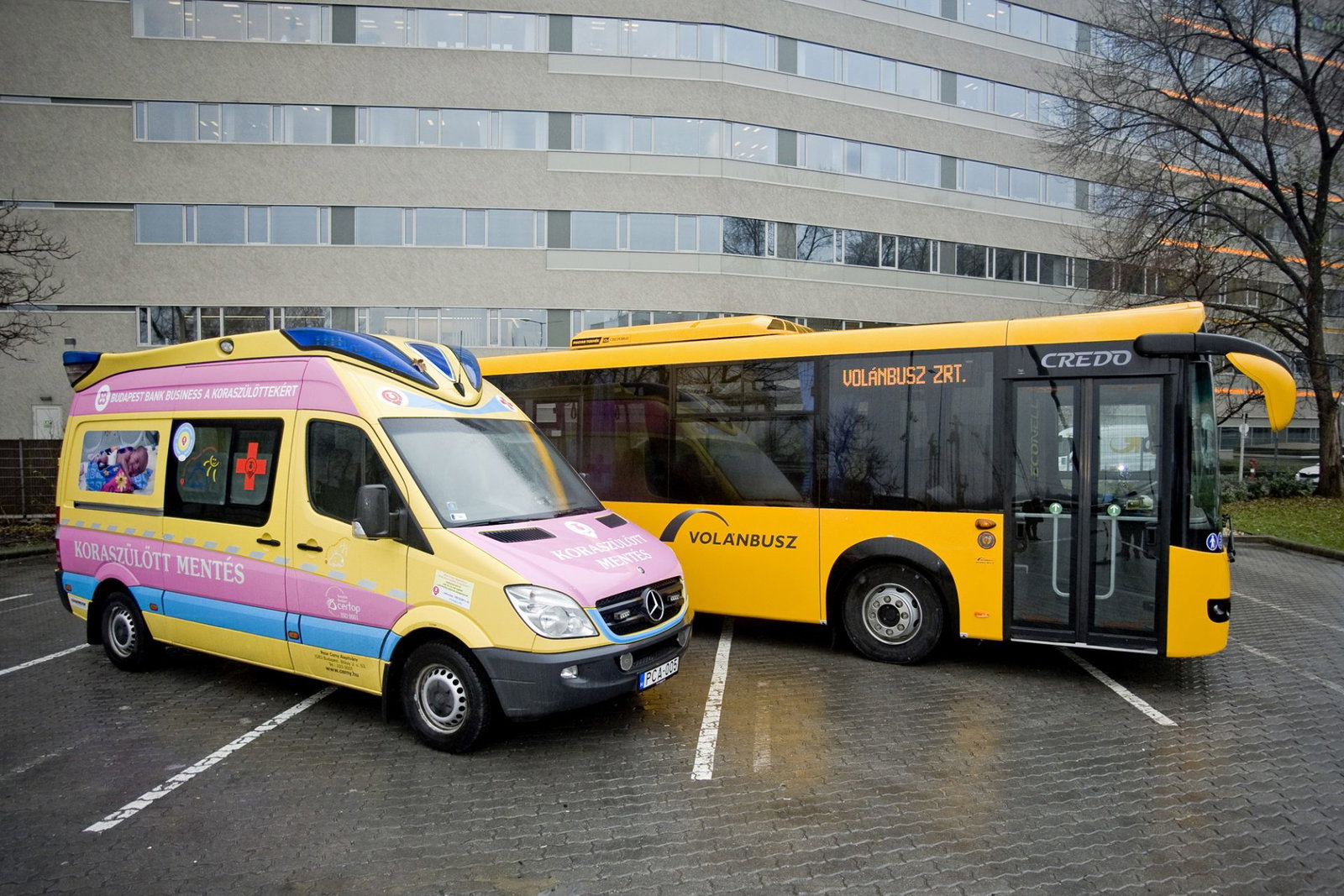 Adománnyal támogatja a Volánbusz a Peter Cerny Alapítványt