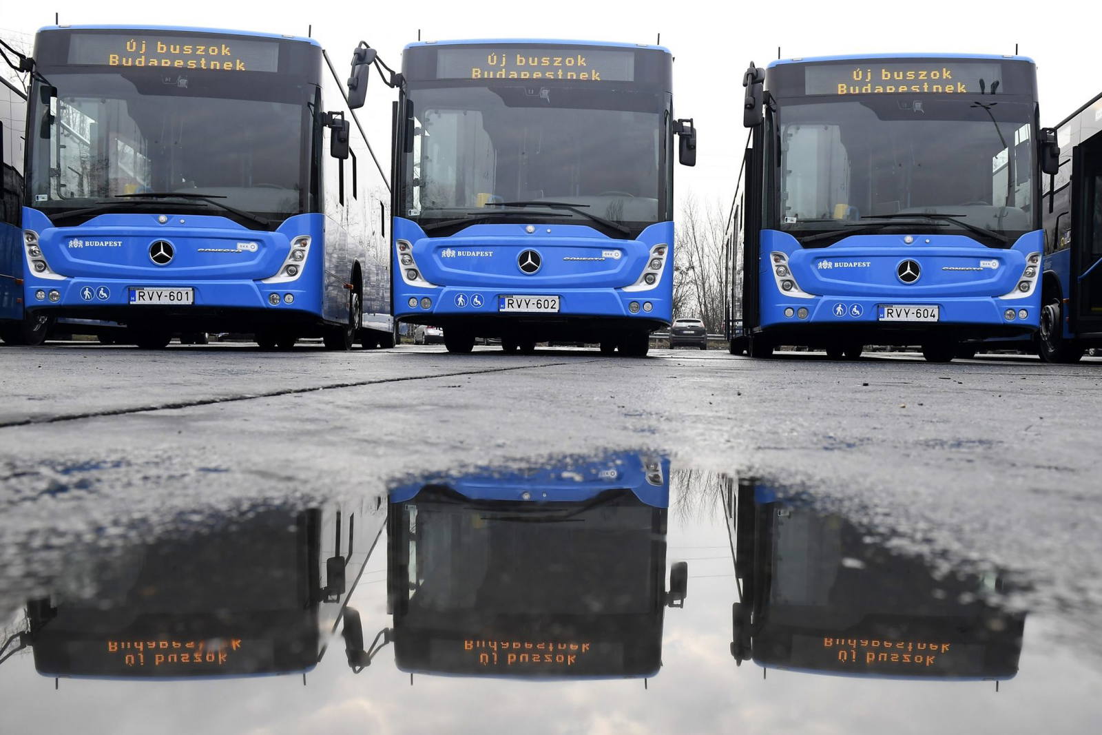 Lesz pénz új buszokra a fővárosban, de csak jövőre