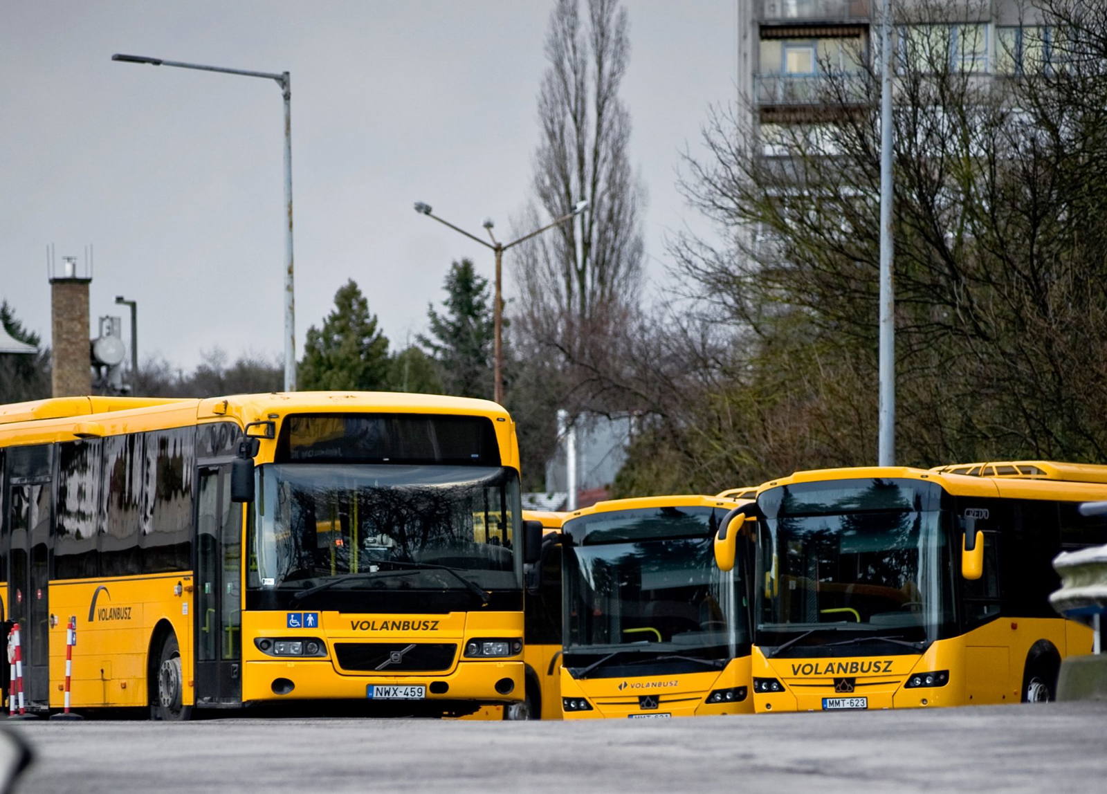 Több, mint ezer autóbusz-vezetőt tüntetett ki a Volánbusz