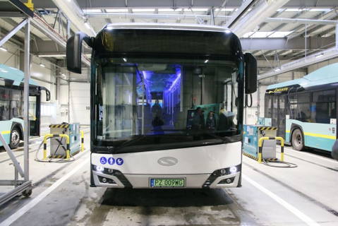 Villanybusz-nagyhatalom lesz Lengyelország?