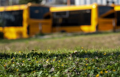 Változik a Volánbusz menetrendje a hosszú hétvégén