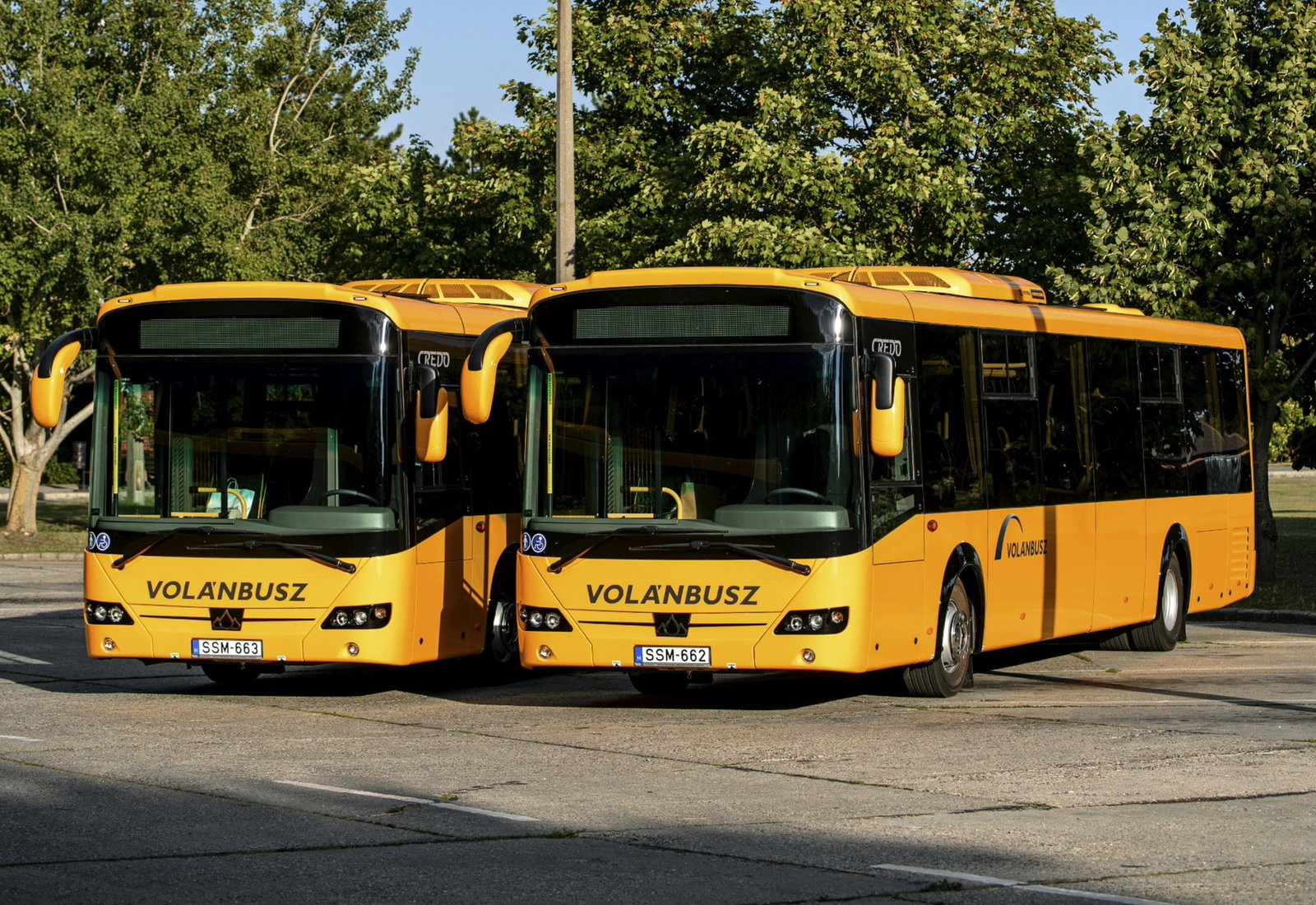 Egy csomagban pályáztatná meg a kormány a helyközi buszközlekedési szolgáltatásokat