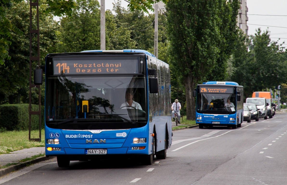 Öt pályázó tehet ajánlatot a BKK C2, C3 és C4 járatcsoportjainak üzemeltetésére