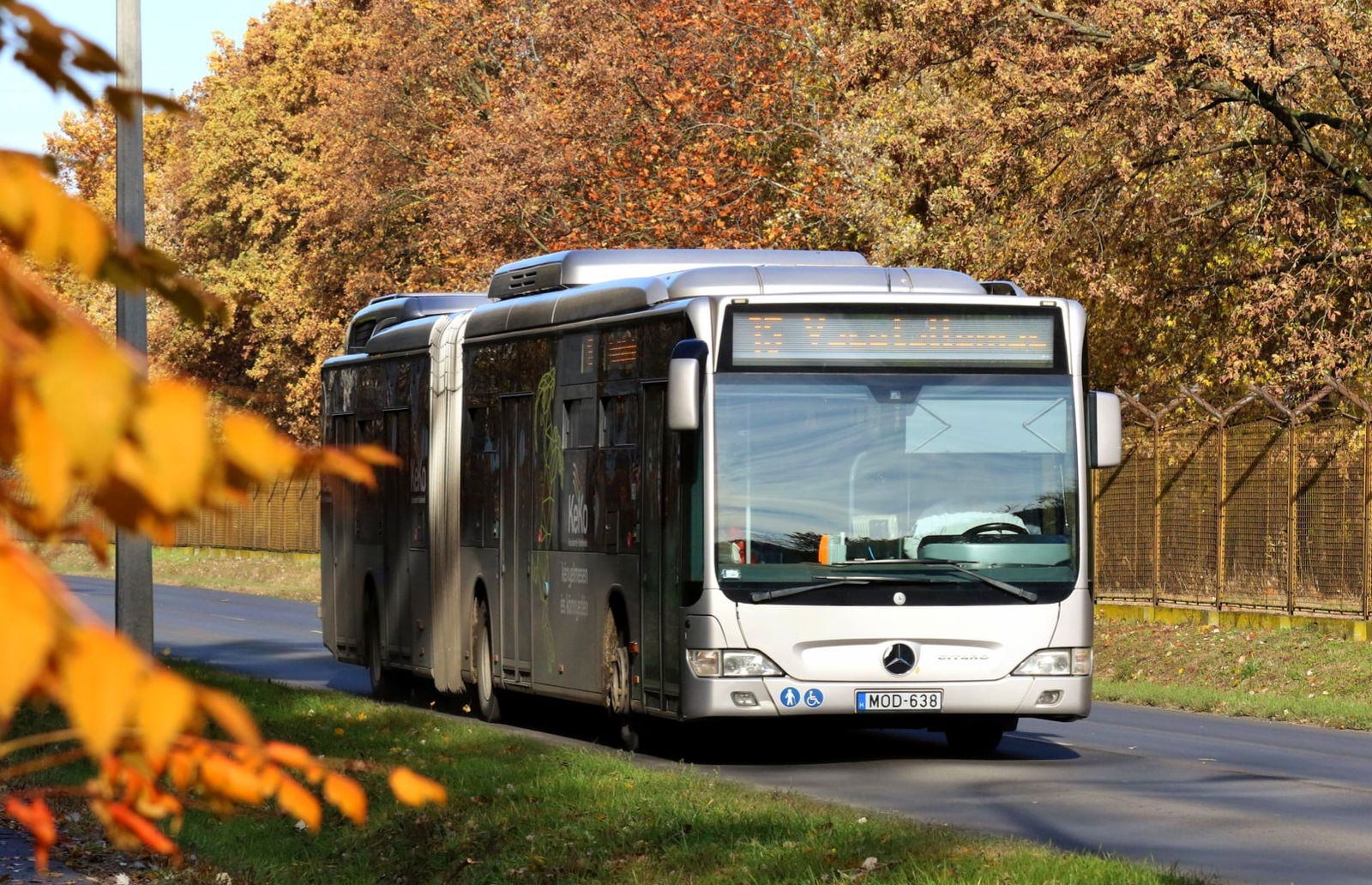 Tíz éves lett a kecskeméti Mercedes-Benz Citaro G BlueTec-Hybrid flotta