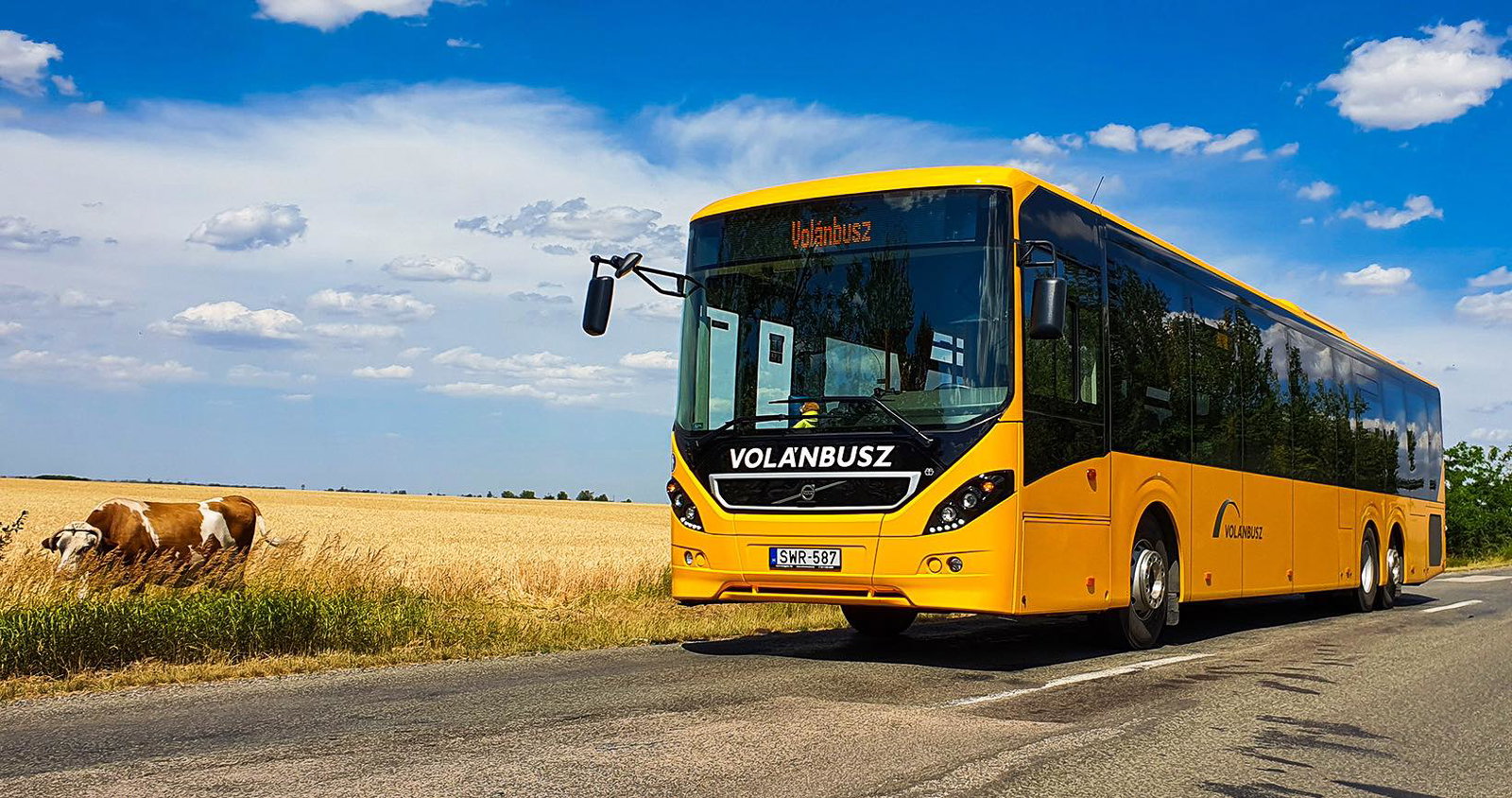 Seat reservation system at Volánbusz: questions and answers