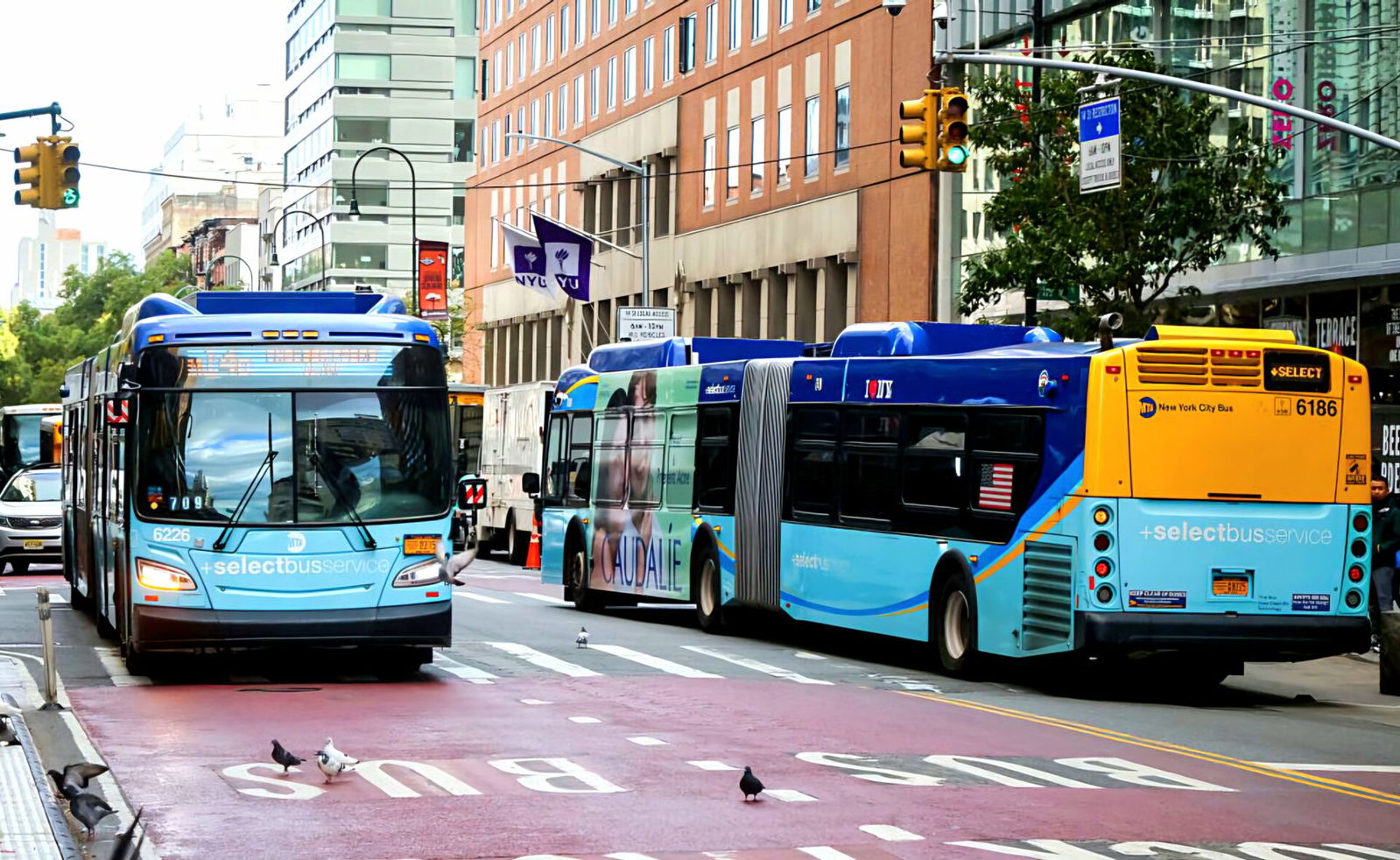 New York gives bus transport fresh momentum with historic development program