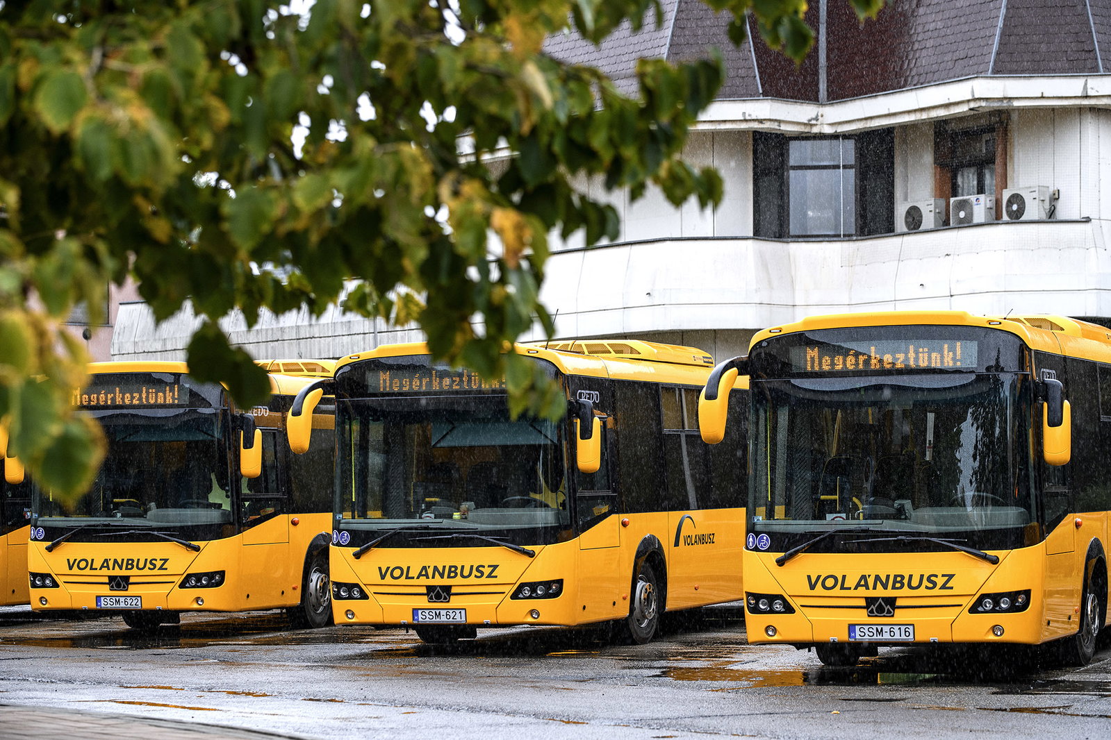 Huszonhat vadonatúj autóbusz állt forgalomba Csongrád-Csanád megyében