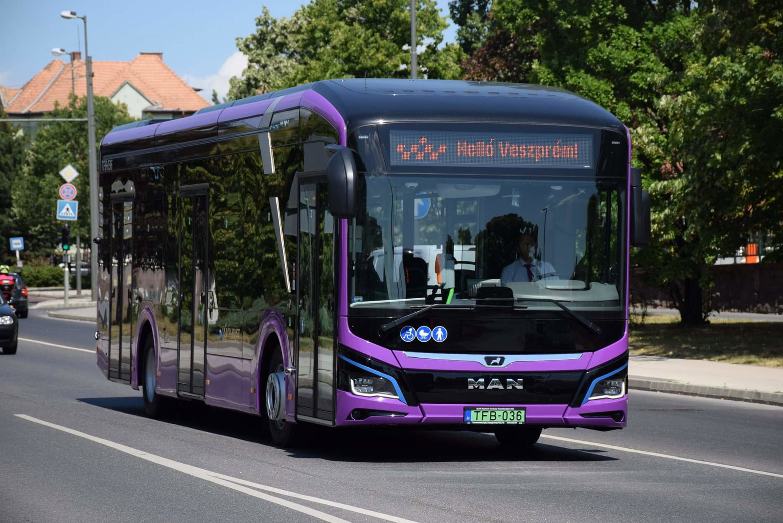 Átadták a V-Busz elektromos "városi oroszlánjait"