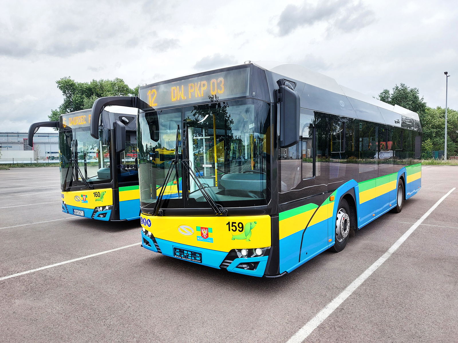 Új Solaris midibuszok a lengyelországi Ostrołęka útjain