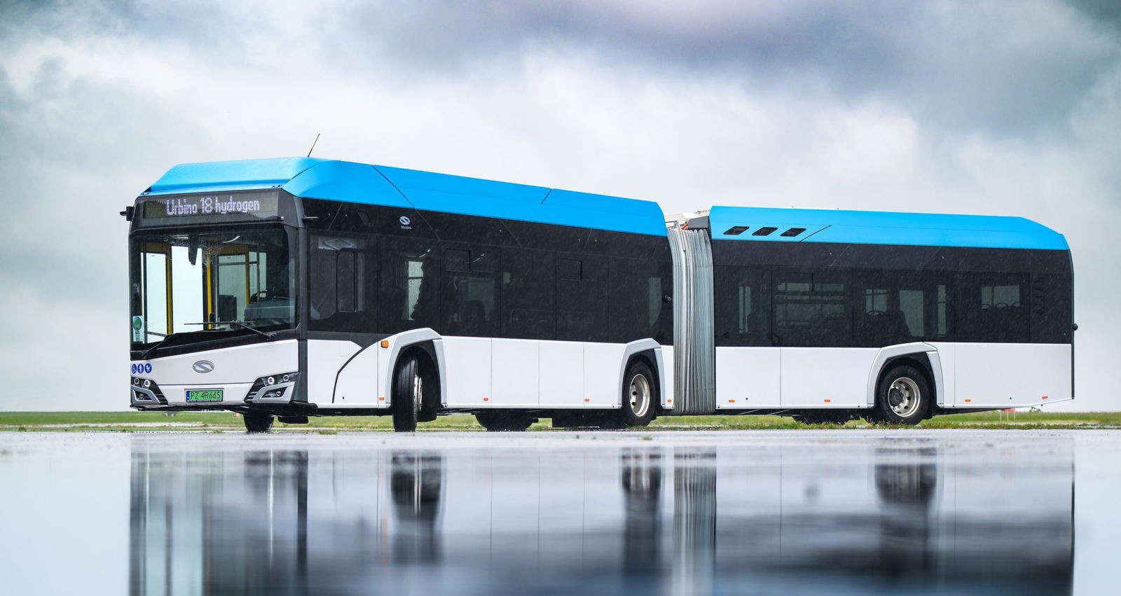 Fuel-cell buses may remain “niche products”