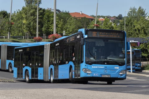 Jövőre 100 darab vadonatúj csuklós Mercedes-Benz Citaro G-t állít forgalomba az ArrivaBus Budapesten