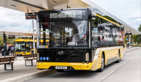 Tizenhárom darab Komáromban gyártott BYD villanybusz érkezik Kaposvárra