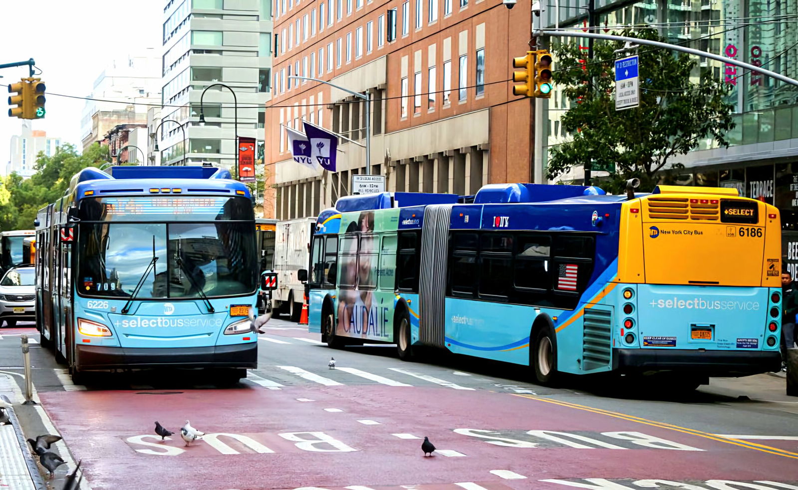 New York gives bus transport fresh momentum with historic development program